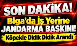 Biga’da İş Yerine Jandarma Baskını! Köpekle Didik Didik Arandı