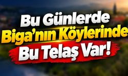 Bu Günlerde Biga’nın Köylerinde Bu Telaş Var!