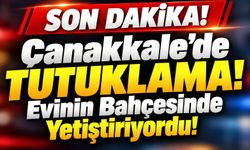 Çanakkale’de Tutuklama! Evinin Bahçesinde Yetiştiriyordu!