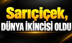 Sarıçiçek, dünya ikincisi oldu