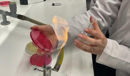 Bilim insanları uçak yakıtında yeni bir bakteri cinsi keşfetti