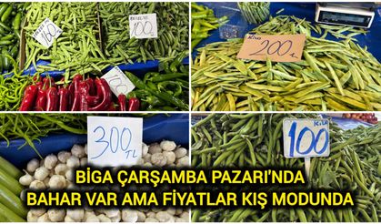 Biga Çarşamba Pazarı'nda bahar var ama fiyatlar kış modunda