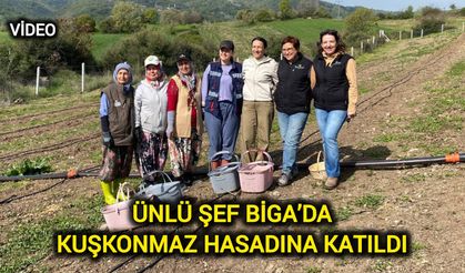 Ünlü Şef Çanakkale Biga’da kuşkonmaz hasadına katıldı