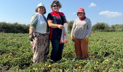 Biga’da Sofraya Gelmeden Önce Ürünler Test Ediliyor