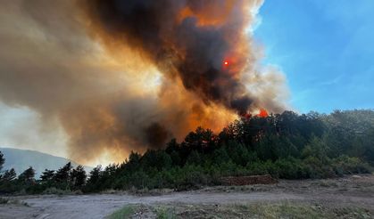 Komşu ilde çıkan orman yangınına müdahale ediliyor