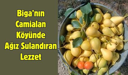Biga’nın Camialan Köyünde Ağız Sulandıran Lezzet