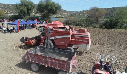 Yerli Tohumlarla Güçlü Tarım: Çanakkale’de Hasat Coşkusu