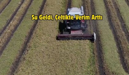 Su Geldi, Çeltikte Verim Arttı