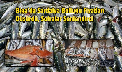 Biga’da Sardalya Bolluğu Fiyatları Düşürdü, Sofralar Şenlendirdi
