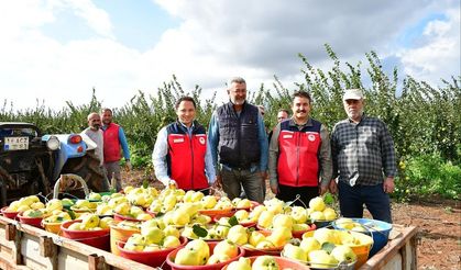 Altın sarısı hasat: Biga'nın meyvecilik potansiyeli yükseliyor