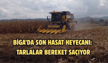 Biga’da son hasat heyecanı: Tarlalar bereket saçıyor