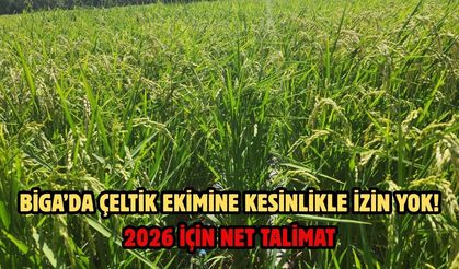 Biga’da çeltik ekimine kesinlikle izin yok! 2026 için net talimat