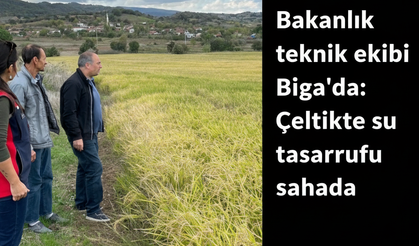 Bakanlık teknik ekibi Biga’da: Çeltikte su tasarrufu sahada