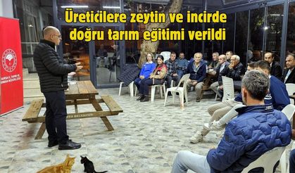 Üreticilere zeytin ve incirde doğru tarım eğitimi verildi