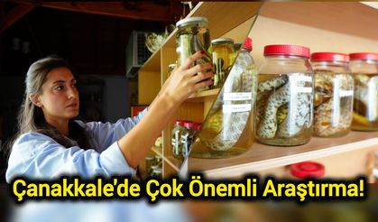 Çanakkale'de Çok Önemli Araştırma!