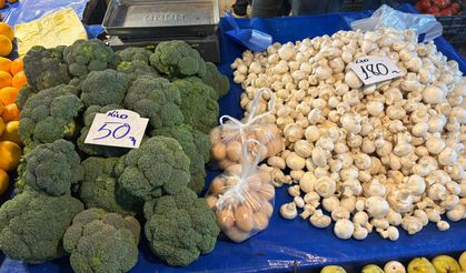 Biga Çarşamba Pazarı Fiyat Raporu