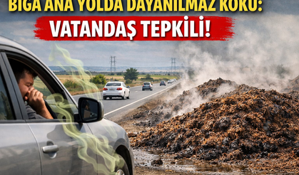 Biga Ana Yolda Dayanılmaz Koku: Vatandaş Tepkili