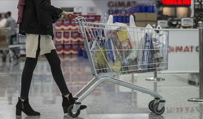 TÜİK enflasyon sepetini güncelledi