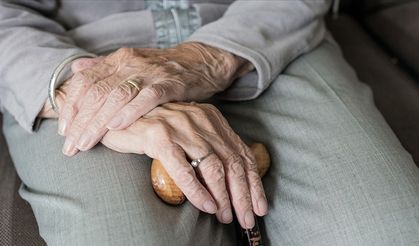 Türkiye'de 100 yaşına merdiven dayayan 244 bine yakın "çınar" yaşıyor