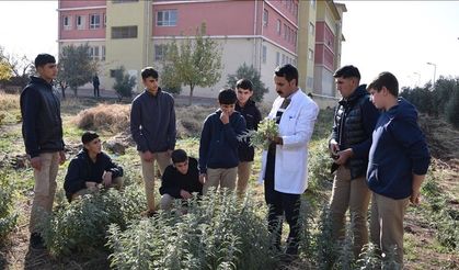 Üniversite öğrencilerinin uygulamalı eğitimi en az 1 dönem olacak