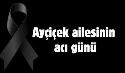Ayçiçek ailesinin acı günü