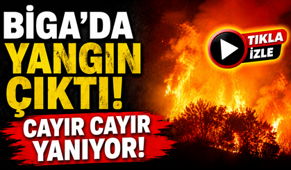 Biga’da alevler tarlayı sardı!