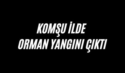 Komşu ilde orman yangını çıktı