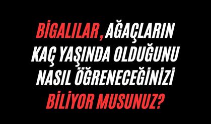 Bigalılar, ağaçların kaç yaşında olduğunu nasıl öğreneceğinizi biliyor musunuz?