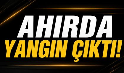 Ahırda yangın çıktı!