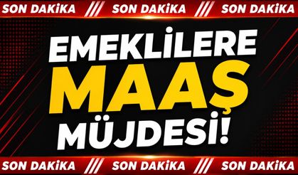 Son Dakika: Emeklilere maaş müjdesi!