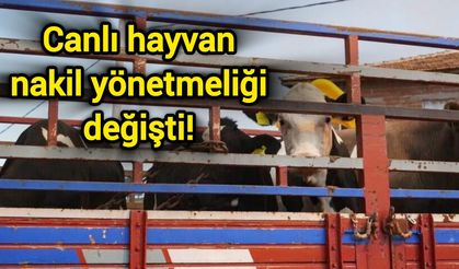 Canlı hayvan nakil yönetmeliği değişti!