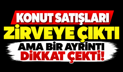 Konut satışları zirveye çıktı ama bir ayrıntı dikkat çekti!