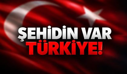 Uzman Çavuş Aslan silah kazasında şehit oldu