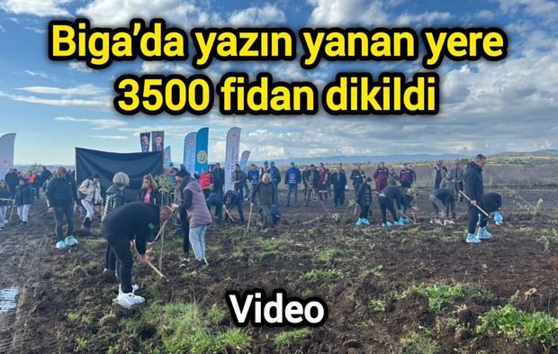 Çanakkale Biga’da yazın yanan yere 3500 fidan dikildi