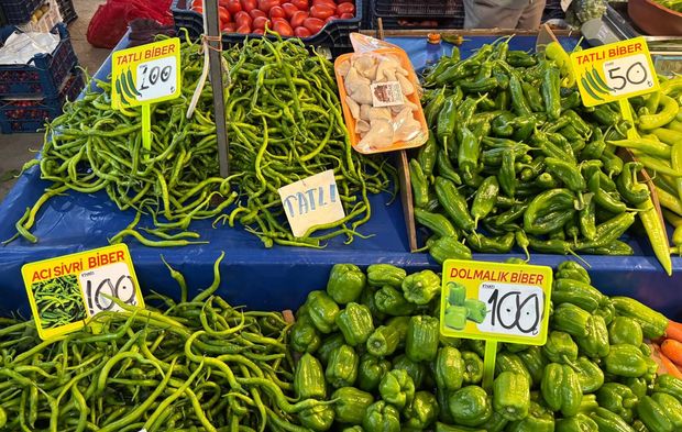 Biga Pazarı'nda hangi ürün kaç para?