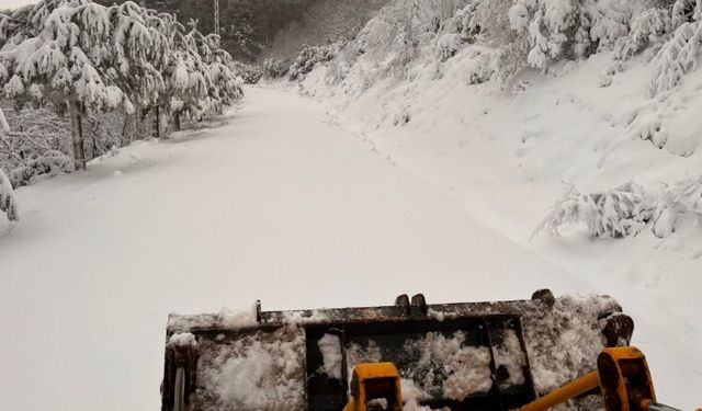 Biga’da kardan kapalı yollar açıldı