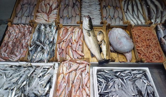 Biga’da güncel balık fiyatları