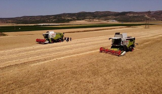 TMO, 2 milyon tonun üzerinde buğday ve arpa aldı