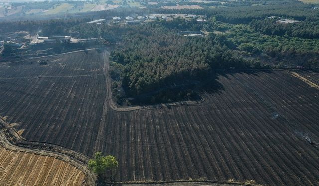Yangından zarar gören kampüsteki ormanlık alan dronla görüntülendi