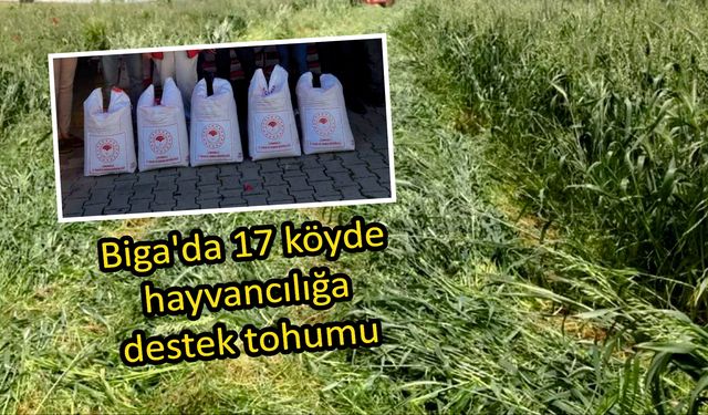 Çanakkale Biga’da 17 köyde hayvancılığa destek tohumu