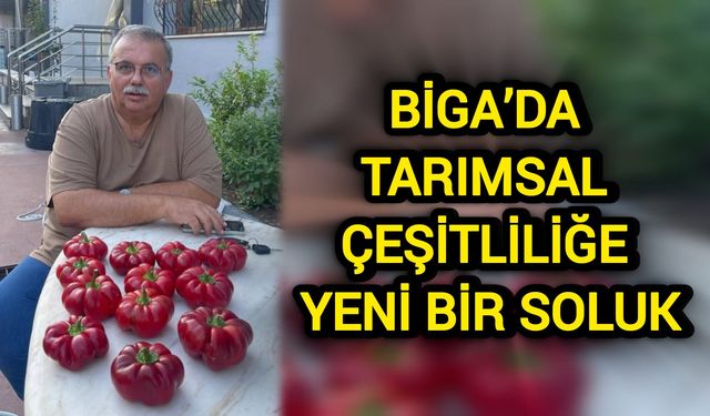 Çanakkale Biga’da tarımsal çeşitliliğe yeni bir soluk