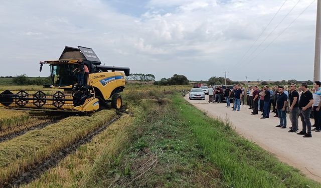 Çanakkale Biga’da yılın ilk çeltik hasadı yapıldı