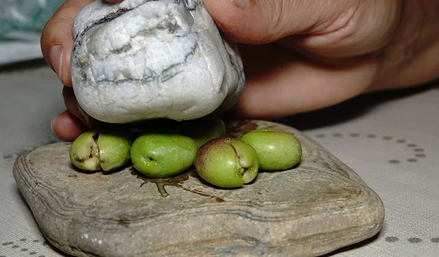 Yeni mahsul "kırma yeşil zeytin" damakları tatlandırmaya başladı