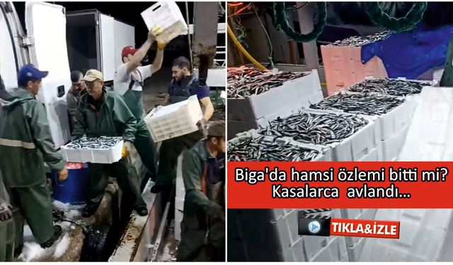 Çanakkale’de hamsi özlemi bitti mi? kasalarca avlandı…