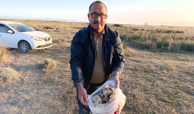 Bigalı Makasçı Nurettin, Manguta mantarı sezonunu açtı