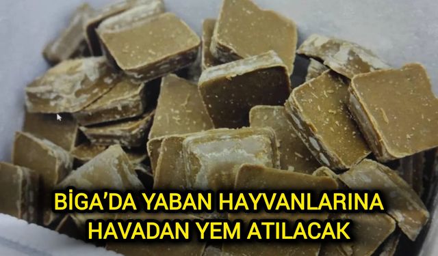 Çanakkale Biga’da yaban hayvanlarına havadan yem atılacak