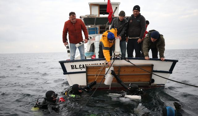 Çanakkale’de “HMS Majestic" batığına 400 ıstakoz bırakıldı