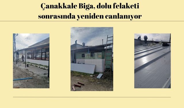 Çanakkale Biga, dolu felaketi sonrasında yeniden canlanıyor