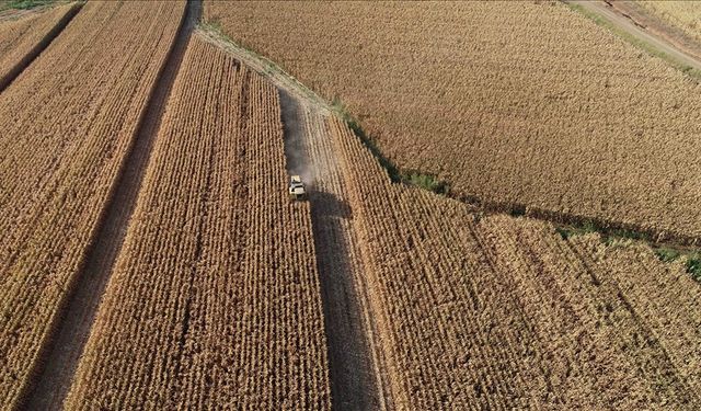 Tarım ÜFE Şubatta Yükselişini Sürdürdü!