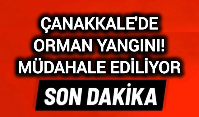 Çanakkale'de Orman Yangını! Müdahale ediliyor